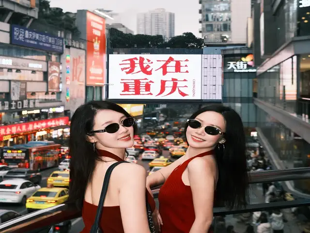 上海品茶网|价格与套餐