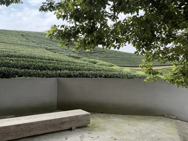上海后花园 静安寺 实拍 3